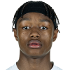 Yvandro Borges Sanches