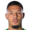 Theo De Percin