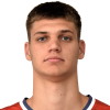 Pavle Nikolic