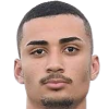 Joao Victor Lucas Wesner
