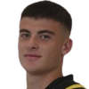Stavros Psyropoulos