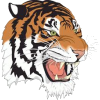 Tennessee State W