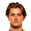 Dom Plank