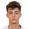 Jovan Mituljikic