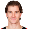 Lukas Dostal