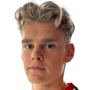 Edvin Brattreit
