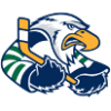 Surrey Eagles
