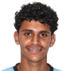 Osama Al Mermesh