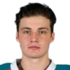 Mark Liwiski