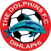 The Dolphins