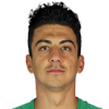 Soner Dikmen