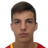 Nemanja Carevic