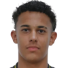 Joao Araujo