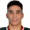 Radel Zamaltdinov