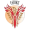 Feniks W