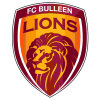 Bulleen Lions W