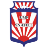 Snaefell W