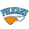 Pelicans