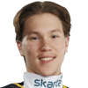 Sisu Yliniemi