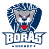 Boras