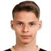 Arturs Berzins