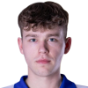 David Pisek