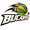 Bucaros