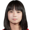 Lan Wei