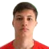 Dominik Simcic