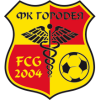 FK Gorodeja 2