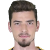 Erdi Dikmen