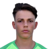 Luigi Misevic