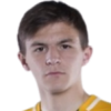 Vyacheslav Shvyrev