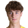 Dominik Pecsuk