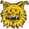 Ilves 2 W