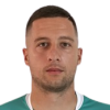 Nikola Petric