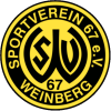 Weinberg W