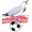 Scarborough FC