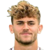 Leonardo Vonic