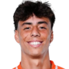 Carlos Zambrano