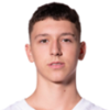 Dominik Dolic