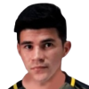 Nicolas Goitea