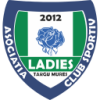 Targu Mures W