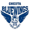 Gnesta