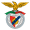 SB Castelo Branco