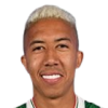 Matheus Saldanha
