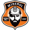 Minerul Ocna Dej
