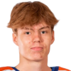 Arttu Karki