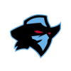 Dallas Renegades