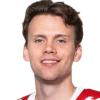 Dominik Bokk